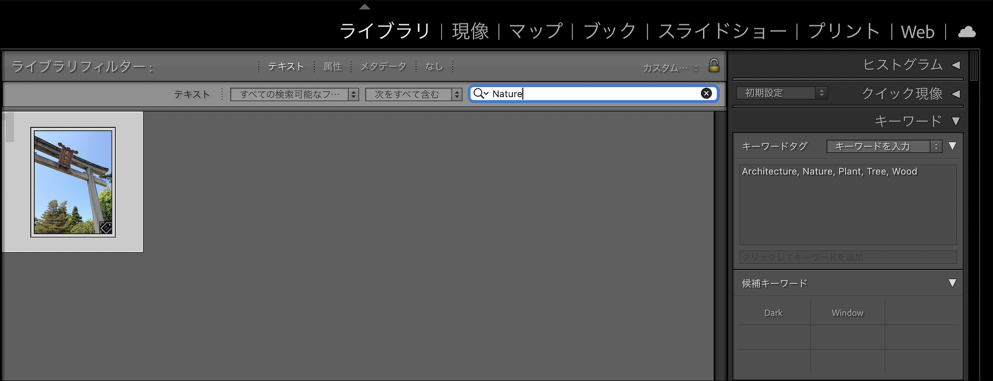 Lightroomでキーワード検索