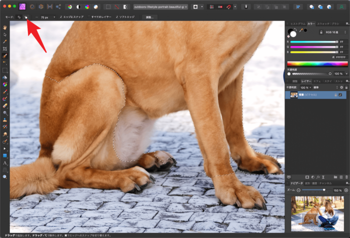 Affinity Photo